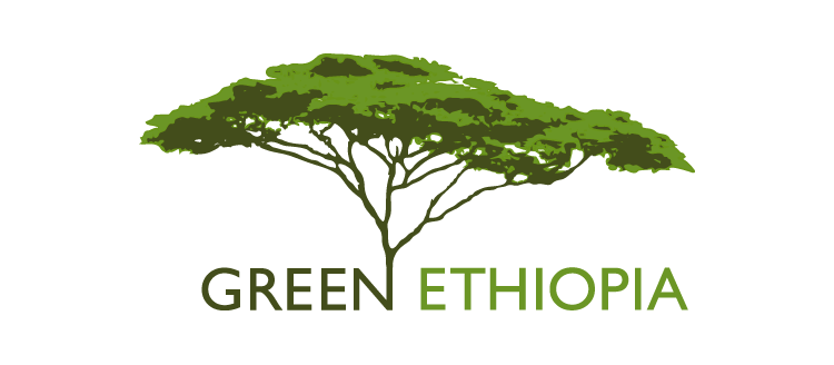 Stiftung Green Ethiopia