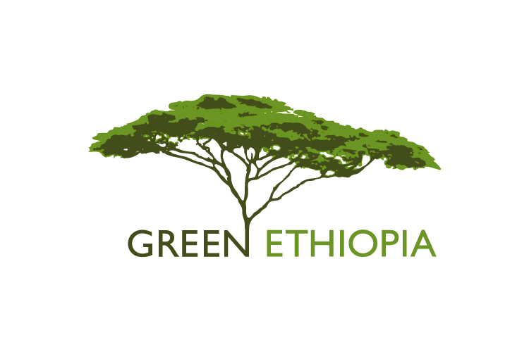 Year 2022 - Foundation Green Ethiopia